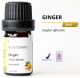 Bliss Scents Pure Essencial Oil Aromatherapy Ginger 5Ml