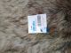 OneMed Ultrafix 5x5