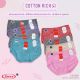 Sorex Celana Dalam 1254 Abu Abu L
